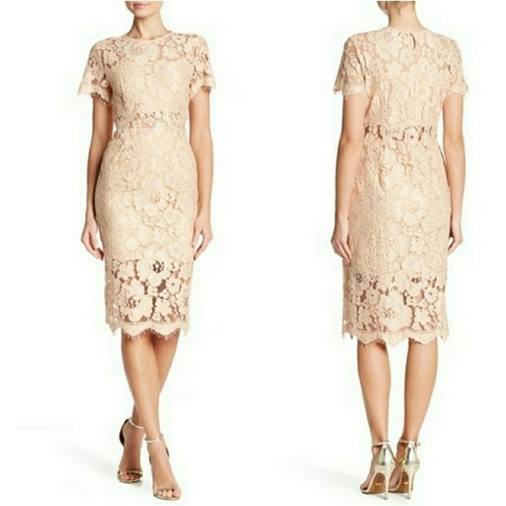 NWT NSR Fringe Floral Lace Evening Dress Size M